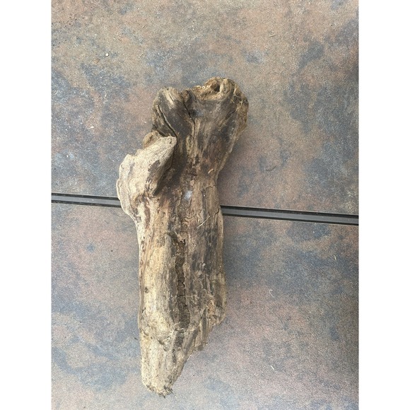 Other - Natural Driftwood for Plants Terrarium Taxidermy Art Projects